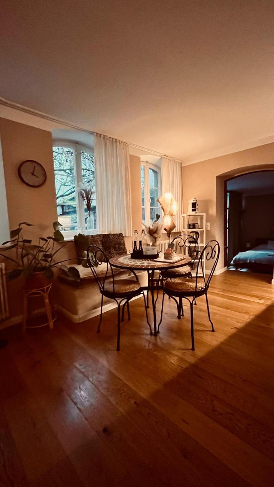 Apartment Am Schloss - Flair Saarbrücken Dış mekan fotoğraf